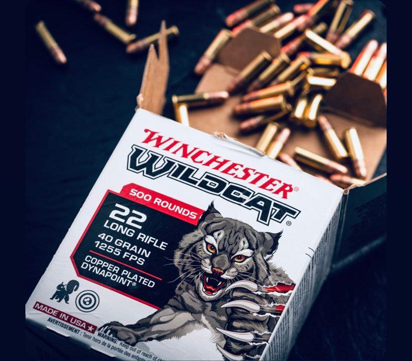 Winchester Wildcat .22 LR 40 Grain 1255 FPS – A Comprehensive Review for Hunters and Target Shooters