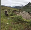 Go on a hunt in South Greenland.  Musk oxen or caribou are options.  Get a fantastic guided tour by a trophy hunting guide with many years of experience. 