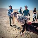 Chasse à la perdrix au Maroc 