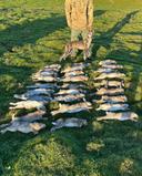 28 less for the landowner