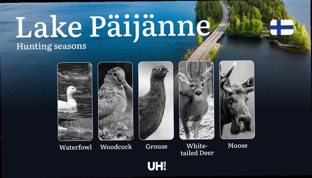 Hunting Seasons in LAKE PÄIJÄNNE:  Core Regulations, General Hunting Rules, Key Timelines, Permit Acquisition Process and Traditional Hunting Events