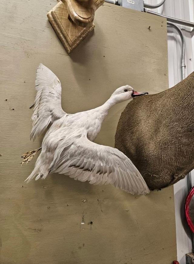 Photo from news post