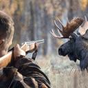 What is the best rifle for deer hunting?