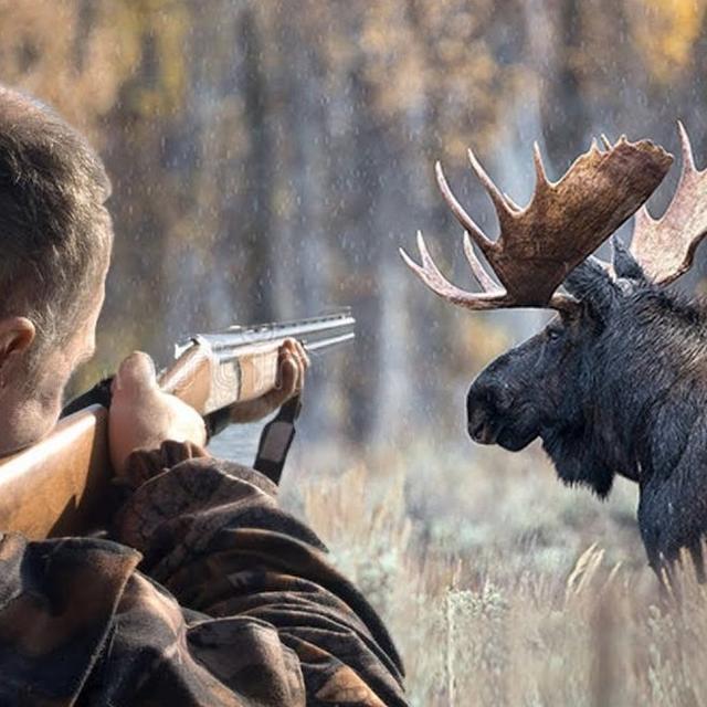 What is the best rifle for deer hunting? avatar