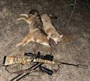 Successful jackal hunt in Stavropol Krai

Good morning! This is Maxim from the RikaNV team, and today we are sharing the results of our predator hunt in Stavropol Krai. T