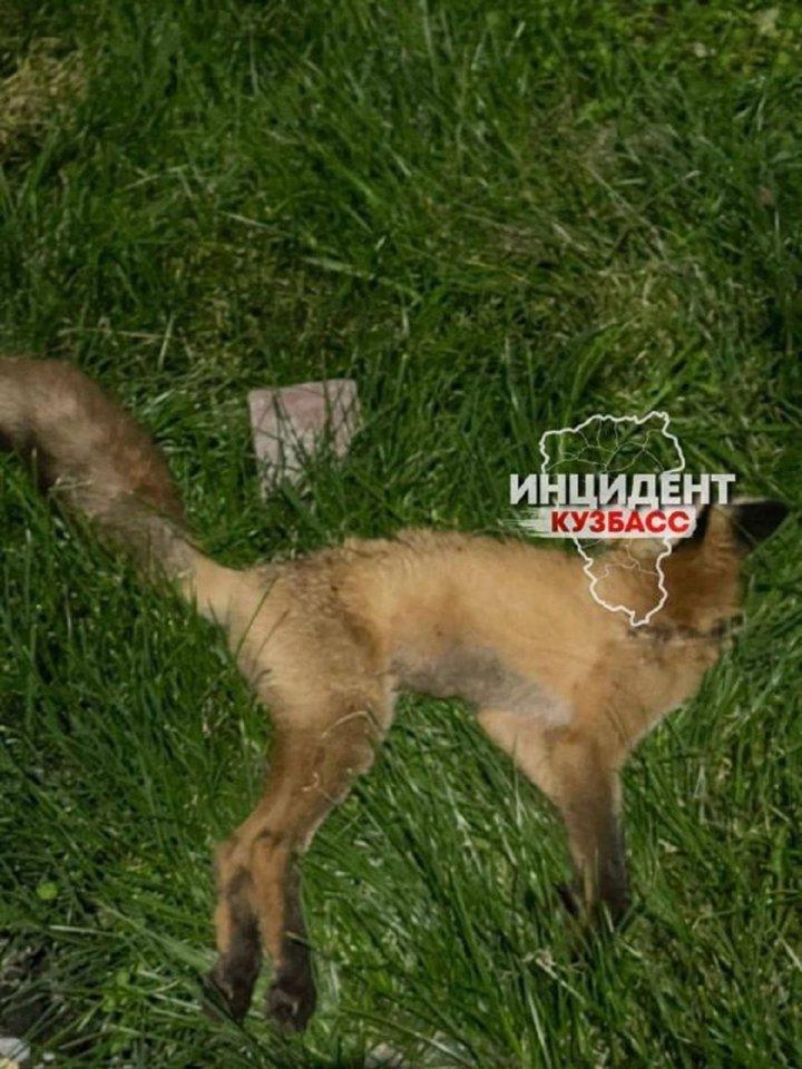 Photo from news post
