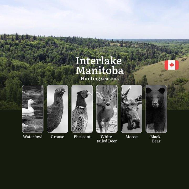 Hunting Seasons in INTERLAKE MANITOBA: Opening and Closing Dates, Required Licenses and Key Rules 
