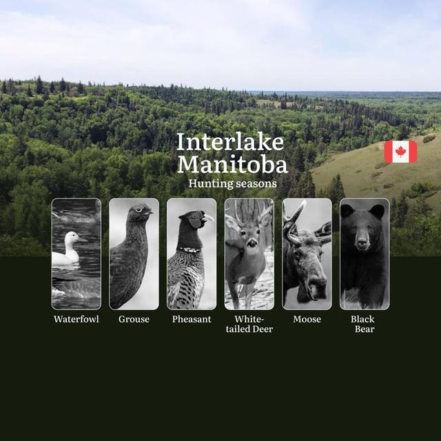 Hunting Seasons in INTERLAKE MANITOBA: Opening and Closing Dates, Required Licenses and Key Rules