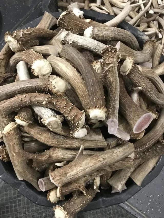 Photo from news post