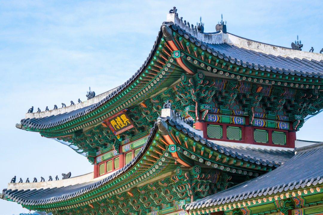 창원 지역의 사냥: 자연, 전통, 그리고 현대의 만남 