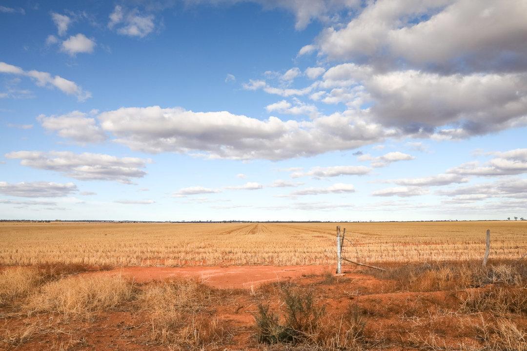 Wheatbelt Hunting WA: Types of Game and Their Natural Habitats, Demographics, Legislation System, Associations and Clubs, Laws and Hunting Seasons 