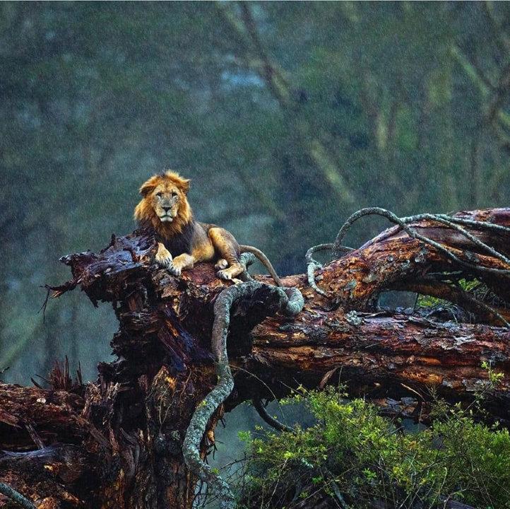 Photo from news post