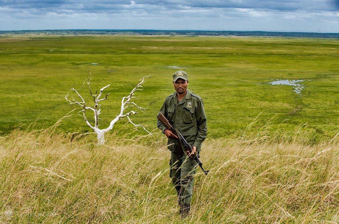 Hunting in MAPUTO SPECIAL RESERVE: A Comprehensive Guide to Geography, Techniques and Target Species