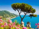 Caccia in CAMPANIA: Un Viaggio tra Natura Incontaminata, Storia e Passione Venatoria

Caratteristiche geografiche e naturali della regione dal punto di vista venatorio

L