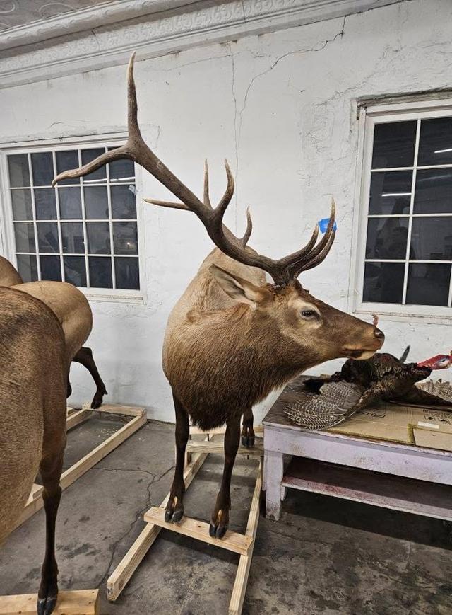 Photo from news post
