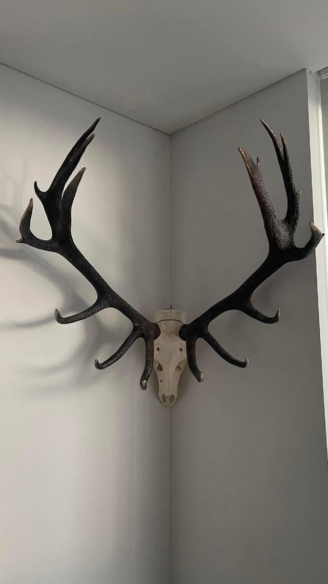 Photo from news post