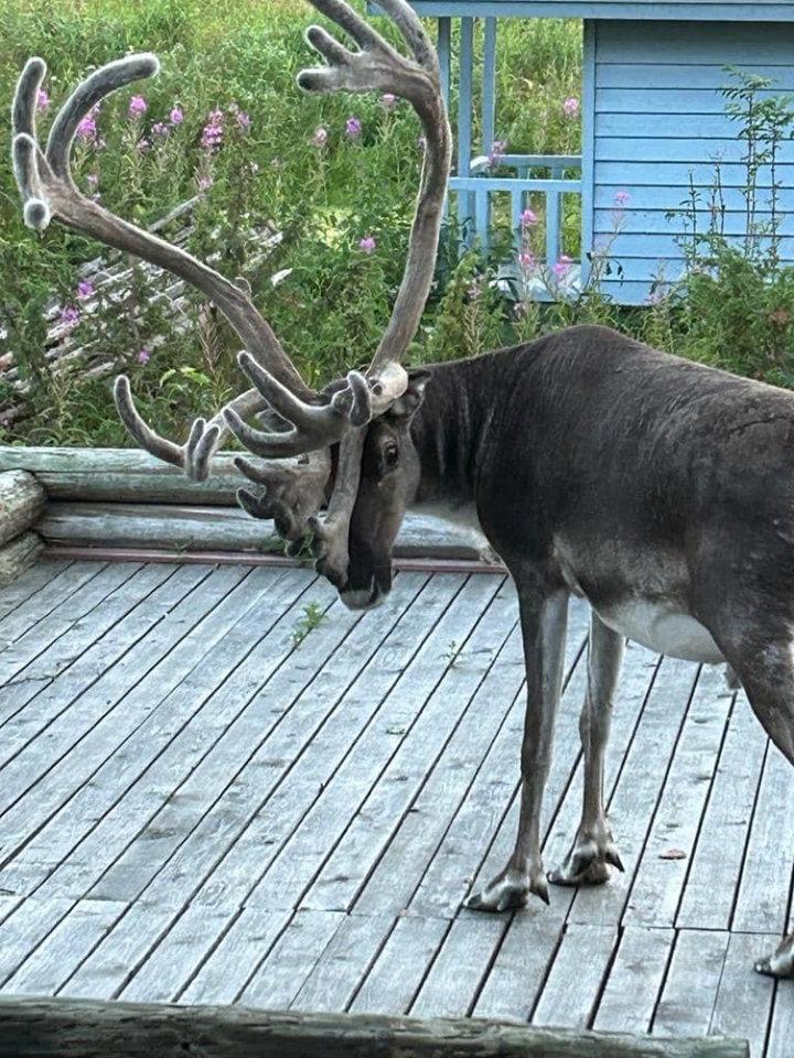 Photo from news post