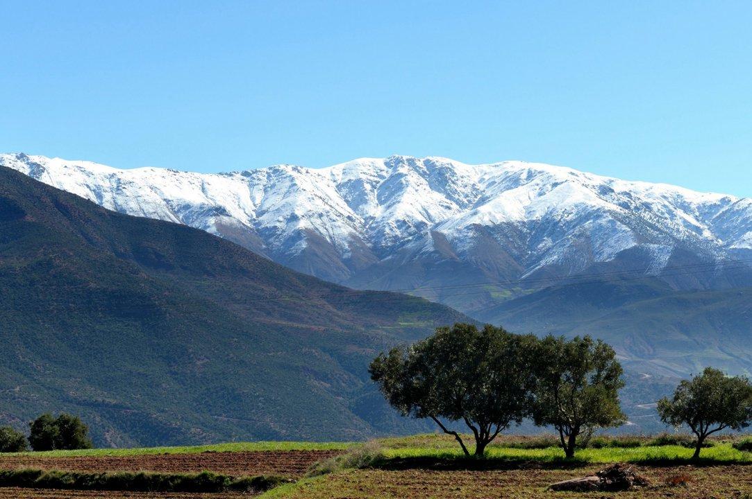 Toubkal National Park Access: Rules of Entry for Hunters and Nature Lovers.