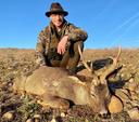 Beautiful and somehow, atypical, roebuck harvested by our Belgian friend after a more than exciting stalk. Many thanks for joining us and sharing a couple of great days t
