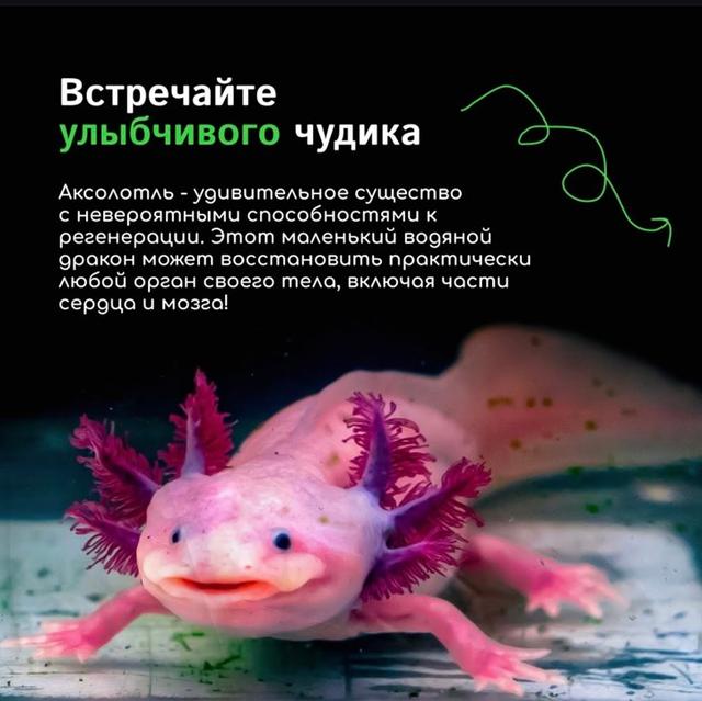 Photo from news post