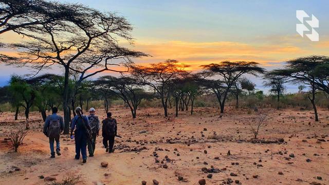 Ethiopia: May trophies