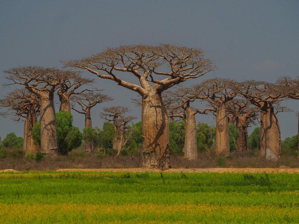 Hunting in Sédhiou, Senegal: Laws, Geography, Demographics.