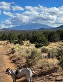 Being off grid next to state land gives you endless options and opportunities !  Usually we walk for hours and enjoy the nature ! Outdoor is never boring !!! Hunting is a