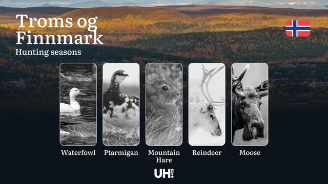 Hunting Periods and Permits in Troms og Finnmark: A Detailed Look at Game Movement Throughout the Year, Seasonal Limits, and How to Apply for a Hunting License in the Area