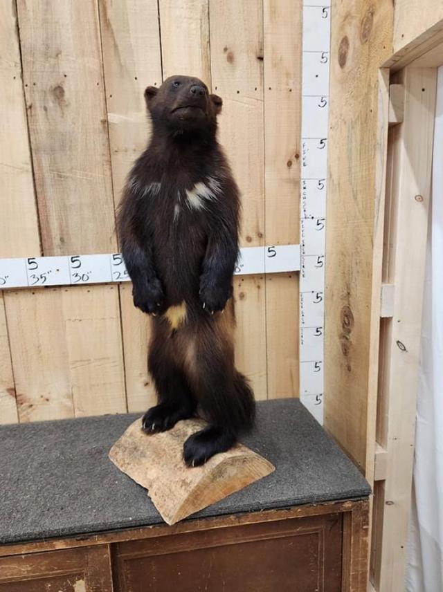 Photo from news post