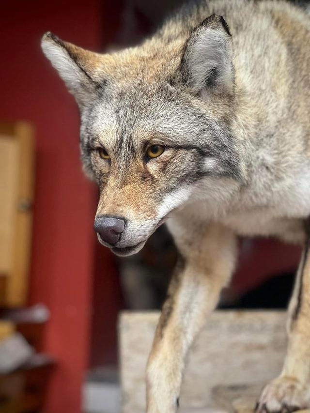 Photo from news post