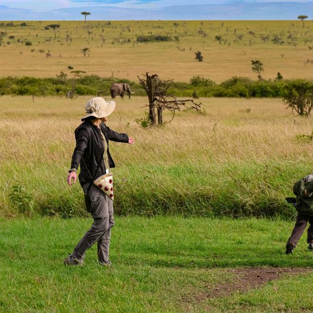 zambihunter avatar
