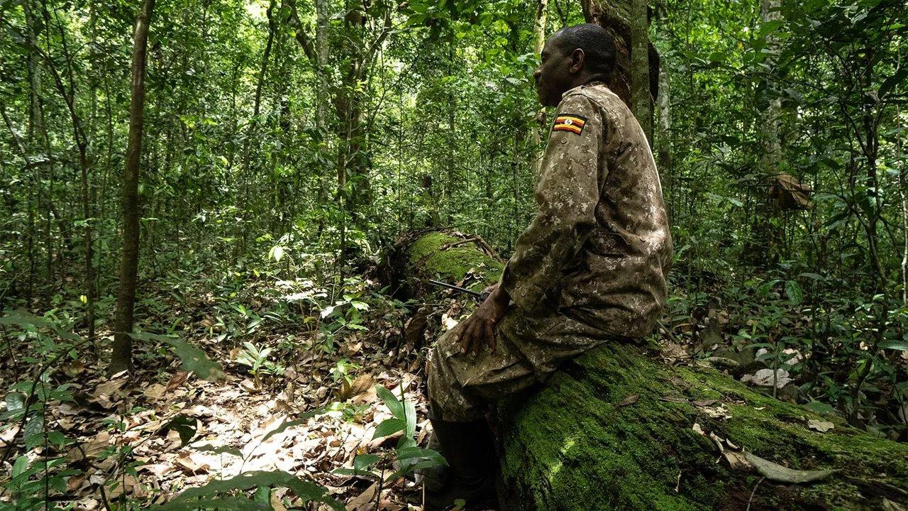 Kaberamaido Uganda Hunting: Natural Landscape and Demographics, Karamoja Border Antelope & Cultural Iteso Hunts