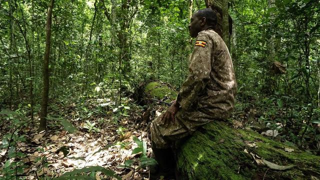 Kaberamaido Uganda Hunting: Natural Landscape and Demographics, Karamoja Border Antelope & Cultural Iteso Hunts