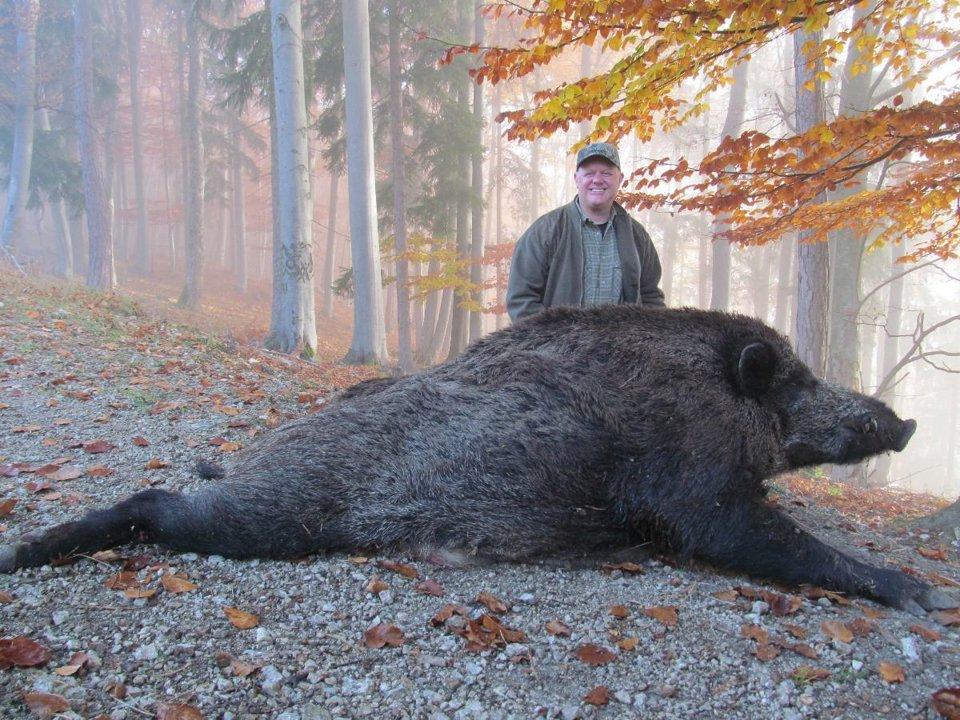 Hermagor: Berge und Täler, Wildbestände, Bestimmungen, Jagdtechniken, Rahmenbedingungen, Organisationen, Traditionen, Daten, Premium-Jagdgebiete, Merkmale
