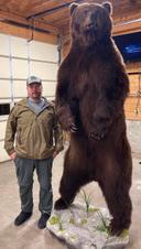 Last minute opening for Alaska brown bear hunt. Located in the largest state park in the US. Can take 2 bears.
September 4-16, 2024. PM for details.

Alaska brown bear hunt.