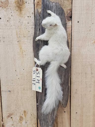 Photo from news post