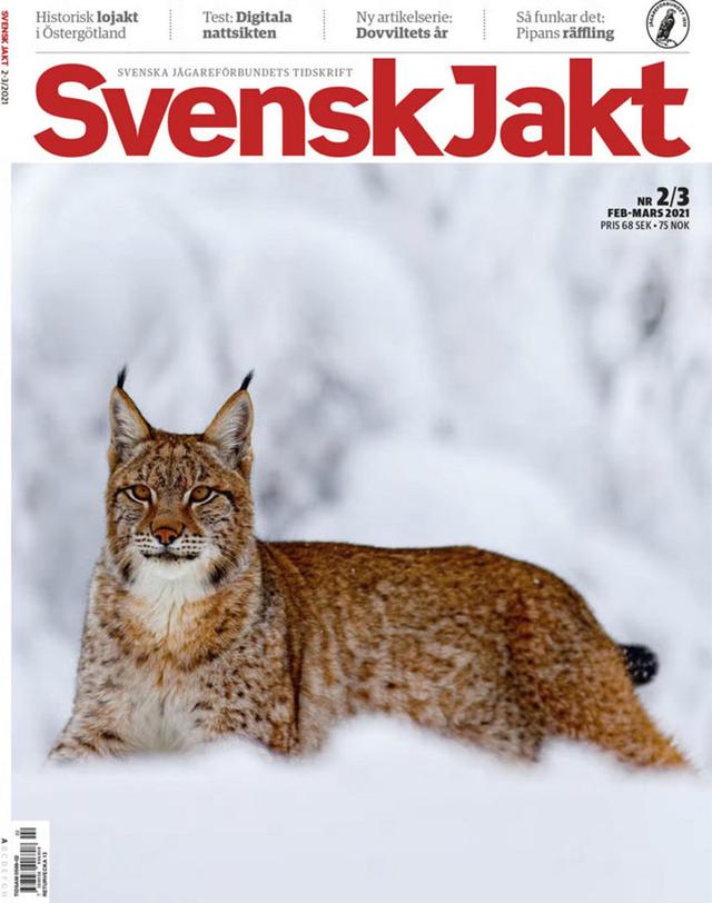 Photo from news post