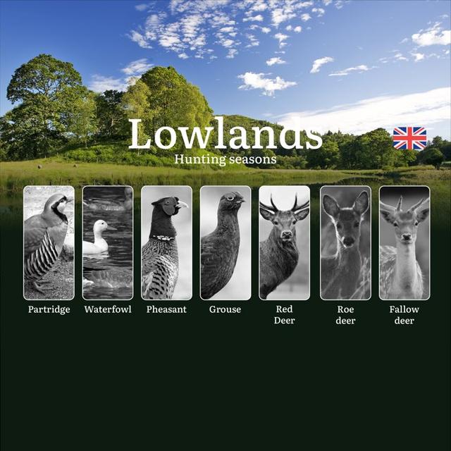 Lowlands Hunting Seasons: Official Dates, Licenses, Best Game & Tactics for Hunters