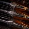 Walking Gun Field Sports Photography avatar