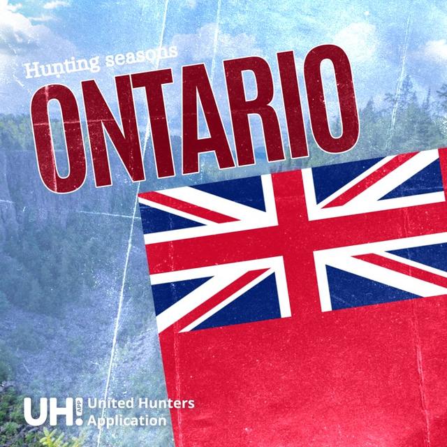 <strong>HUNTING</strong> SEASONS IN ONTARIO, CANADA 2025–26: Big Game and Small Game, Licenses, and Regulations Guide