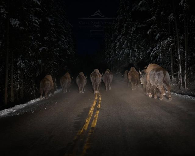Photo from news post