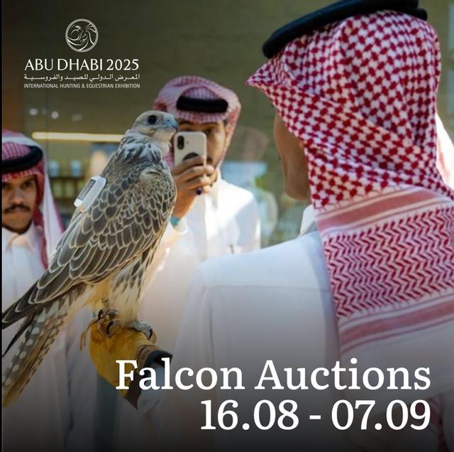 FALCONS AUCTION ADIHEX 2025 — registration, how to participate, lot inspection, and logistics 