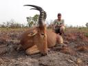 Hunting in Collines: A Comprehensive Guide for Hunters – Exploring Opportunities, Challenges, and Conservation Efforts (PART 1)

Nestled in central Benin, the Collines re