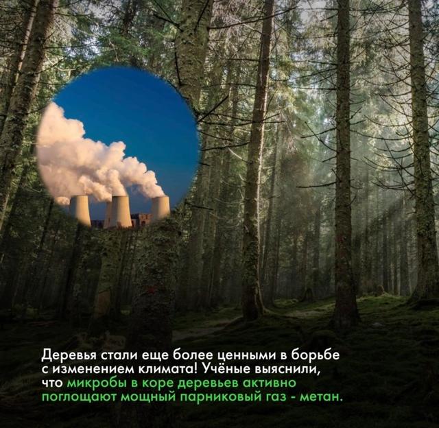 Photo from news post