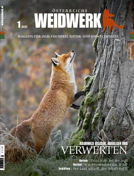 Photo from news post