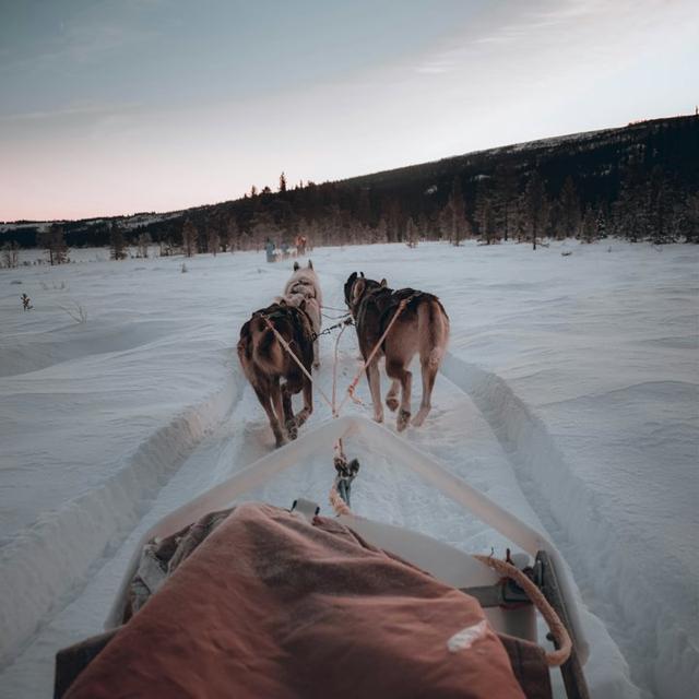kanadahuntfr avatar