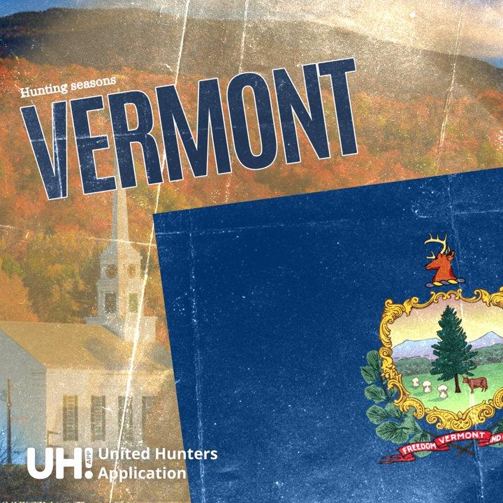 Hunting Seasons in Vermont 2025: Big Game and Small Game, Licenses, and Regulations Guide