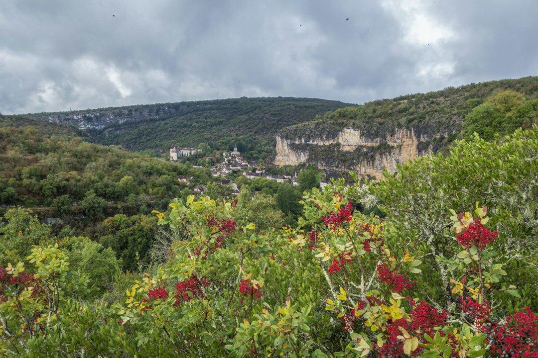 La chasse en DRÔME: Portrait des chasseurs, démographie cynégétique, types de chasse uniques et faune locale