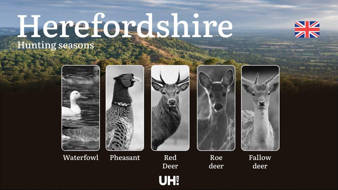 Herefordshire Hunting: Complete Season Dates, License Requirements, Wildlife Regulations & Prime Hunting Locations for Deer, Pheasant and Waterfowl