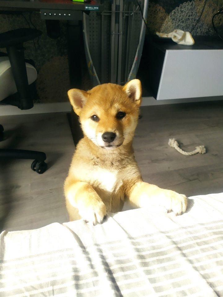 Photo from news post